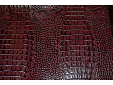 ������ ����� �� ��������.JPG