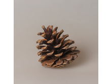 ����� �������� ������� 20 ���.jpg