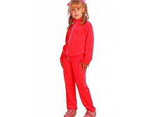 ������ ���������, ����������