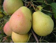 ����� ������-400�.jpg