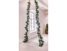 ������� ����� ���