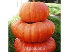 ����� ��� ��� ������� 19,70���. [���.15000154]