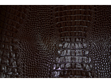 ������ �����-����������.JPG