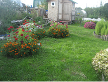 ����������� 002.jpg