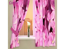 Siren fotoshtory 02936.jpg