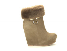 ������� ����������� GLOSSI - 2950 ���