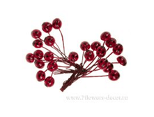 4606500439423 ����� ������ ������� �� �������, 1�� (24��.) ������� 105,8.png