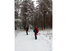 IMG 20161104 122029.jpg