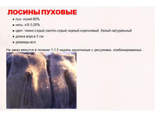 ������ ������� ����� (�������� �����) 1500 ���