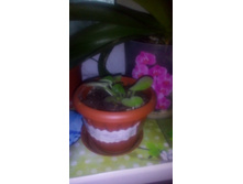 ������������ ������� � �������