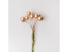 ������ ����� ������ 65 ���.jpg