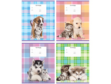 ������� 18�. ����� Little friends 9,28.jpg