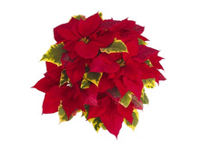 ��������� ����������� ......