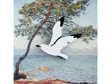 ����� �����