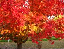 284���. �̣� ������� ������� �����.jpg