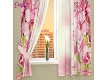 Siren fotoshtory 03014.jpg