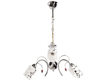 261018103 1500�.jpg