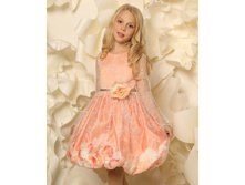 ������ ������ , 01005088persik.jpg