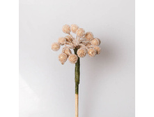 ������ ����� � ������ ������ 1010 65�.jpg