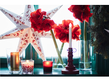 201723 snca02a 01 PH138115.jpg