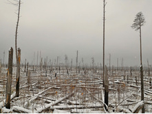 P 20161105 101700.jpg