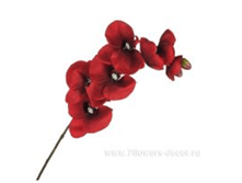 3661864021197 ������ ������������� ����������, 81�� ������� 341,55.png