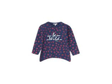 ��������, 803 ���.