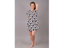 �0043, 250���, 42-46��.