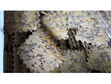 ����� � �������� ���� 120,3�