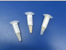 ������� Geotrichum Candidum CHOOZIT? - �������� ����� �������, ������-������� �� 50�.jpg