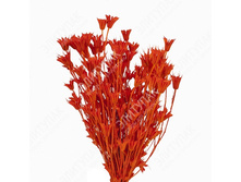 ������� 70 �� 100 ��