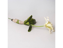 �������� �������, 43149-1 50 �.jpg