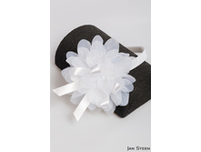 ������ 3659-1 ����� 150�.jpg