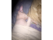 IMG 4371.JPG