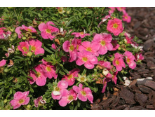 170���. �������� ������������� ���������� ���17.jpg