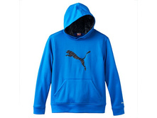 Boys 8-20 PUMA Big Cat Performance Hoodie   $20.00