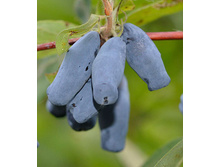 191���. ��������� ���������� ���������� ��������� ���16.jpg