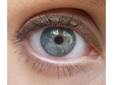 �������� ��� ���� №115 Khaki -63���.JPG