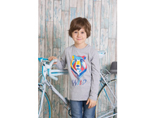 AZ-804  ���� ����� ������� � ������   262 ����