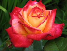 Mein Munchen ���� ������ 2,95 ����.jpg