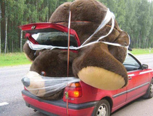 ������� � �������