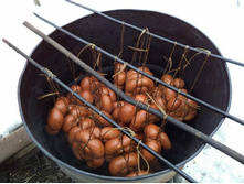 ������� "�����������"