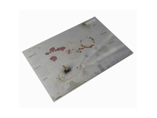 300� �������� �3 ��������