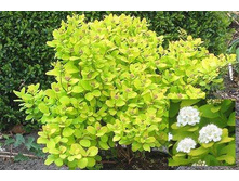 170���. ������ ������������� ��� ���� ���17.jpg