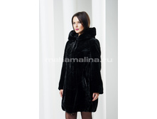 S-207 ���� ����� "������"