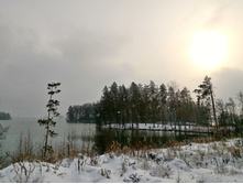 P 20161105 120003.jpg