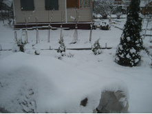 ����������� 035.jpg