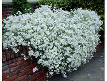 �������. 80 �