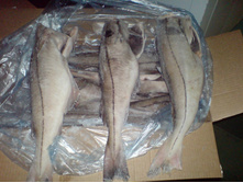 ����� ������� ���� 142+%.jpeg