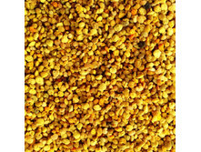 �������� ������ 1��.jpg